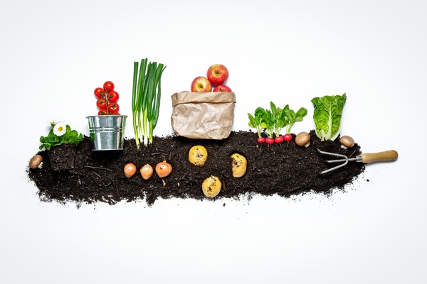 840539_bionero_img_0047