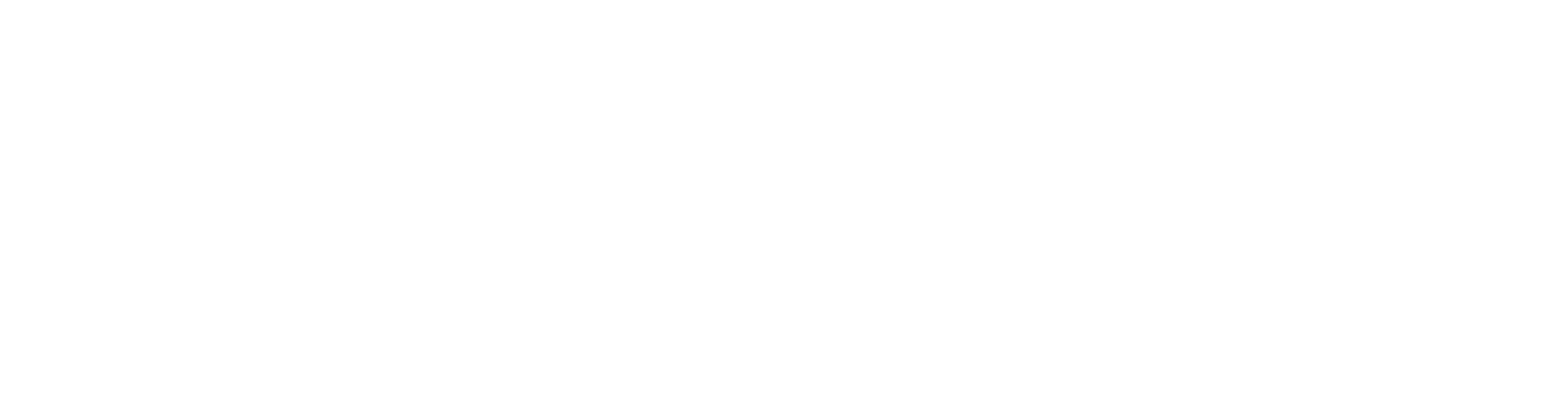 PayPal Icon