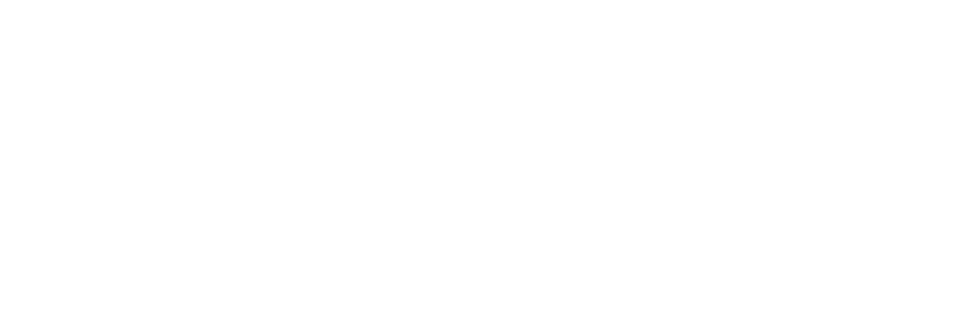 Visa Icon